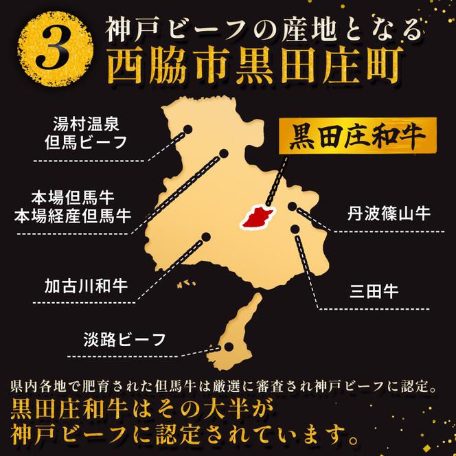 【最短7営業日発送】【神戸ビーフ素牛】特選 黒田庄和牛（焼肉用ロース：500g）(30-7)
