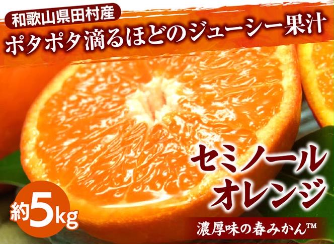 セミノールオレンジ[約5kg]湯浅町田村産春みかん【果実サイズおまかせ】｜和歌山県産 柑橘 フルーツ 紀伊国屋文左衛門本舗 ※2025年5月上旬～5月下旬頃に順次発送予定