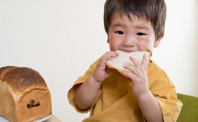 はちみつ酵母のパンの詰め合わせセット　(パン5種8個)　パン ぱん 食パン 朝食 おやつ お菓子 はちみつ酵母 ご褒美