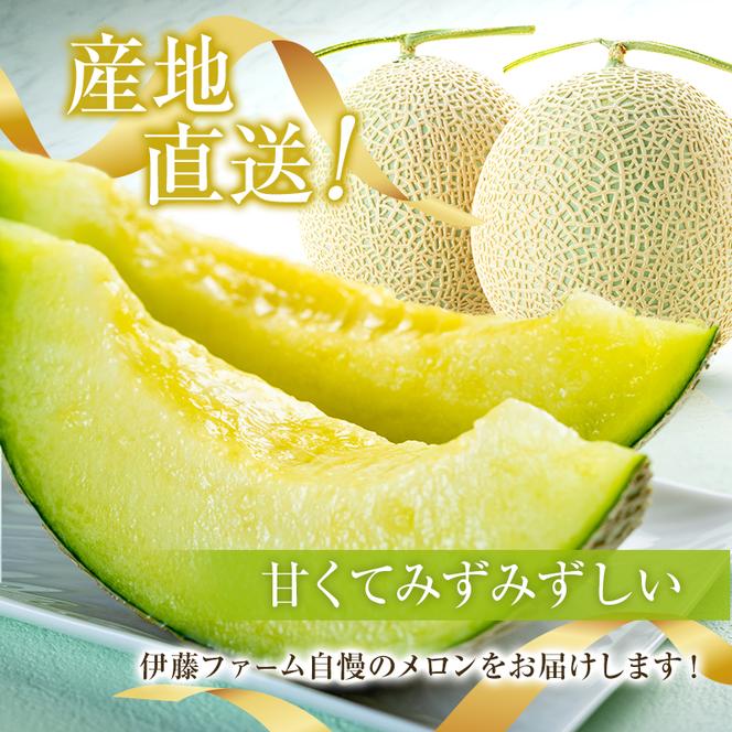【先行予約】マスクメロン アールスメロン アールスムーラン 1個 糖度14度以上 メロン 大玉 めろん フルーツ 秀品 兵庫県 加西市産 ギフト プレゼント 人気
