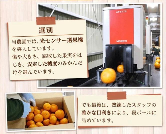 家庭用 完熟 有田みかん7.5kg+250g（傷み補償分）サイズ混合 ※北海道・沖縄・離島への配送不可 ※2025年11月上旬～2026年1月下旬頃に順次発送予定