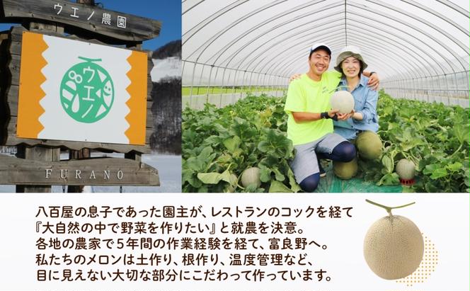 ＜2025年発送 先行受付＞ふらの産 しあわせのメロン 赤肉 4～5玉 計8kg メロン 富良野メロン 赤肉メロン 果物 フルーツ 甘い 美味しい スイーツ ギフト 贈答 送料無料 ウエノ農園 北海道 富良野市