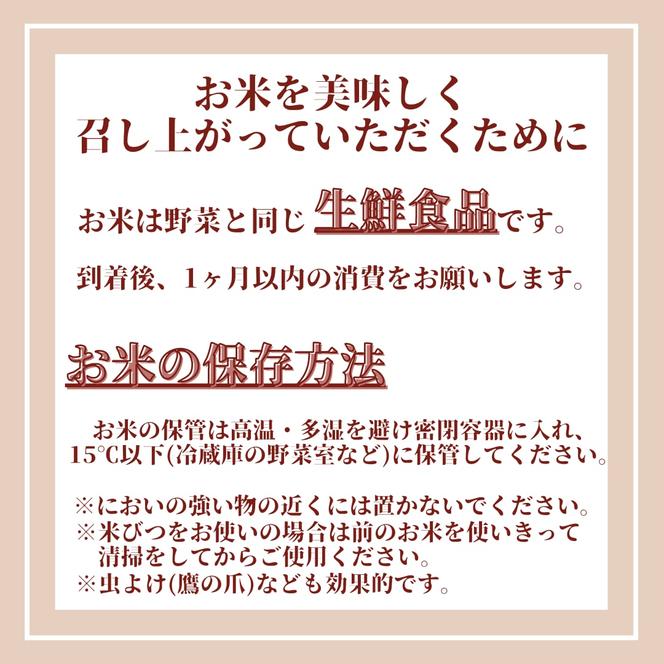 CIB13_玄米さがびより５ｋｇ
