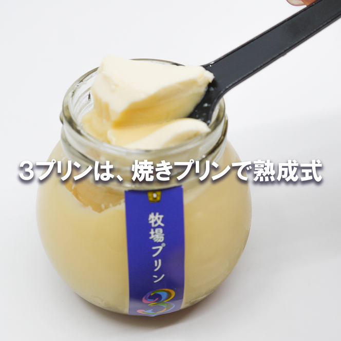 CK017_牧場プリン3　季節のプリン詰合せ