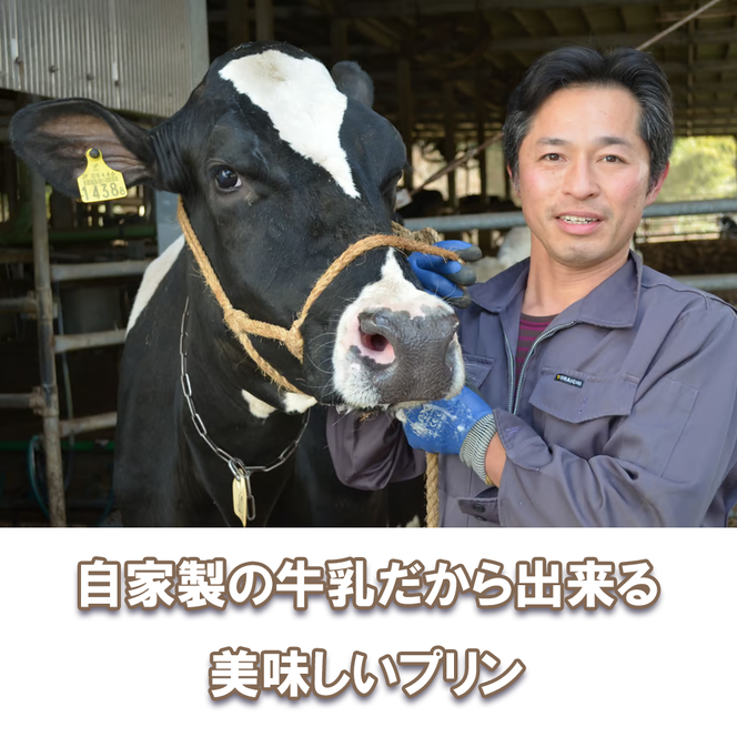 CK017_牧場プリン3　季節のプリン詰合せ