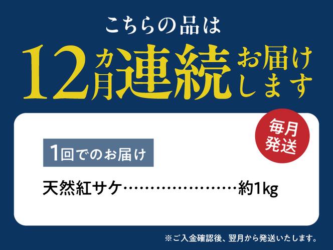 G60-T87_脂と旨みたっぷり！魚鶴仕込の天然 紅サケ 紅鮭 鮭 サーモン 切身 切り身 約1kg　 全12回定期便