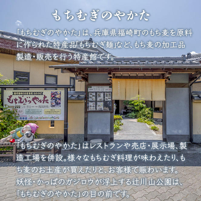 もちむぎ茶5個セット（500g×5個）お茶 贈り物 ギフト もち麦