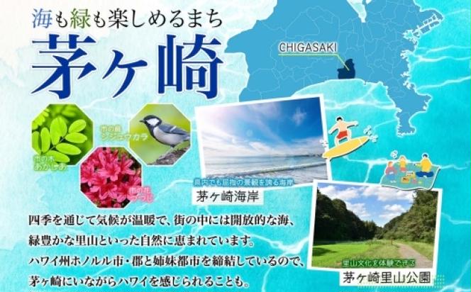 冷凍 コールドプレスジュース お試し 8本セット ジュースクレンズ ファスティング ヘルスケア リフレッシュ スムージー 健康 腸内環境 神奈川県 茅ヶ崎市 株式会社KSS