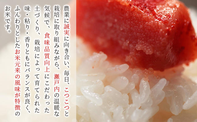 お米 【2025年11月～発送予定】 特別栽培米 ひのひかり 5kg×1袋 米 白米 岡山県産 ファーム安井 精米 ライス ご飯 おにぎり お弁当 和食 主食 国産 炭水化物 直送 産地直送 粘り 香り バランス