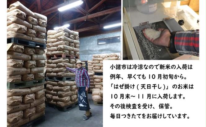 米 【6ヵ月定期便】　はぜ掛けコシヒカリ 食べ比べ 特A地区小諸市御牧ヶ原産コシヒカリ・A地区小諸市産コシヒカリ 【白米／各5kg】  こしひかり 精米 コメ お米 ごはん ご飯 信州 長野県 小諸市