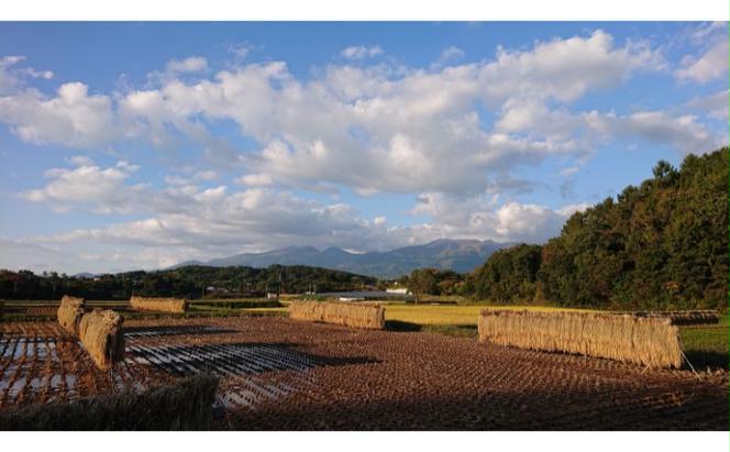 米 【6ヵ月定期便】　はぜ掛けコシヒカリ 食べ比べ 特A地区小諸市御牧ヶ原産コシヒカリ・A地区小諸市産コシヒカリ 【白米／各5kg】  こしひかり 精米 コメ お米 ごはん ご飯 信州 長野県 小諸市