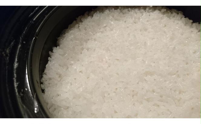 米 信州小諸産マイスターブレンド米【白米／10kg】  コシヒカリ あきたこまち ひとめぼれ コメ お米 ごはん ご飯 信州 長野県 小諸市