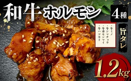 和牛ホルモン4種旨タレ（牛ミノ、牛シマチョウ、牛赤センマイ、牛ハツモト）1,200g 焼肉 ホルモン 内臓 牛 和牛 ほるもん みの しまちょう せんまい はつ たれ F6T-563