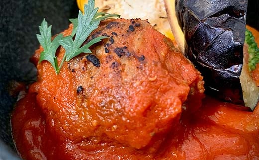 食卓を贅沢に！和牛100％ハンバーグ ～トマトソース～ 20個 牛肉 100％ 温めるだけ 濃厚 さっぱり 簡単 肉汁 ジューシー 旨み ご飯 特製トマトソース パスタ バゲット F6T-607