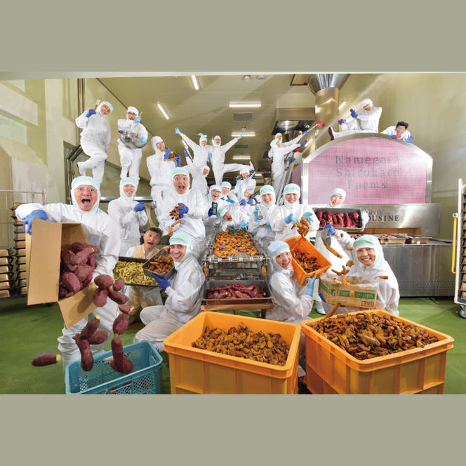 【6ヶ月定期便】らぽっぽファーム【工場直送】窯出しポテトアップルパイ（4個入）|りんごパイ 焼き菓子ギフト さつまいもスイーツ ご褒美 お菓子 内祝 健康 おやつ）CQ-77）