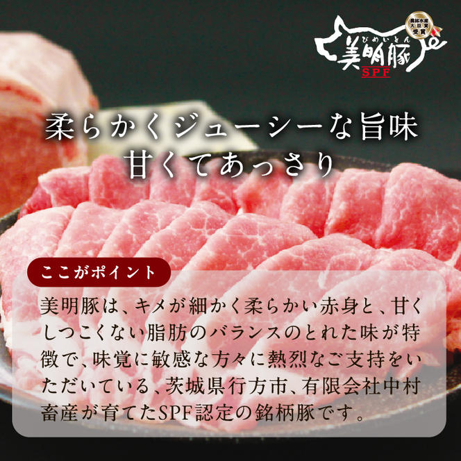 焼売 美明豚「びめいとん」のジューシー焼売 1袋(20個入り)｜シュウマイ 焼売 美明豚 びめいとん 肉 肉加工品 豚肉 お肉 ジューシー 数量限定 茨城県 行方市(HJ-4-1)