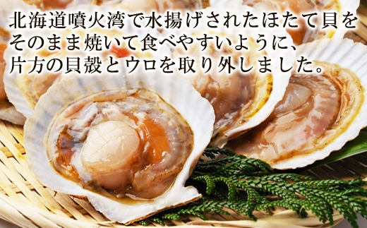 【北海道産】 ハーフシェル ほたて片貝 4袋 2.6kg (40枚前後) ウロ取り済み バラ冷凍 加熱調理用