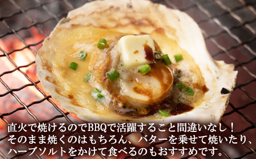 【北海道産】 ハーフシェル ほたて片貝 4袋 2.6kg (40枚前後) ウロ取り済み バラ冷凍 加熱調理用