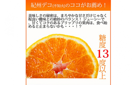 果肉プリプリ♪　完熟紀州デコ(不知火) 約3kg ｜ 柑橘 不知火 デコポン みかん フルーツ 果物 旬 先行予約 でこぽん 国産 産地直送 完熟 一級品  美浜町 ※2026年2月下旬～3月下旬頃に順次発送予定