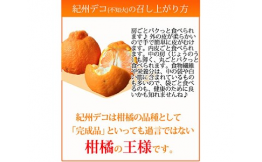 果肉プリプリ♪　完熟紀州デコ(不知火) 約3kg ｜ 柑橘 不知火 デコポン みかん フルーツ 果物 旬 先行予約 でこぽん 国産 産地直送 完熟 一級品  美浜町 ※2026年2月下旬～3月下旬頃に順次発送予定