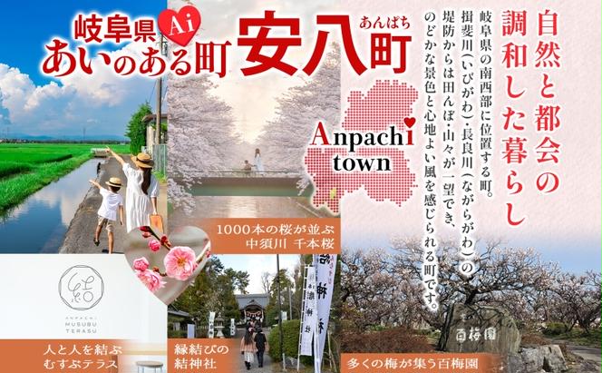 R6年産 特選米 ハツシモ 玄米 11kg ×1袋 お米 米 ごはん はつしも 令和6年産 ブランド米 低農薬 お取り寄せ 産地直送 クリーンファームまき 送料無料 岐阜県 安八町