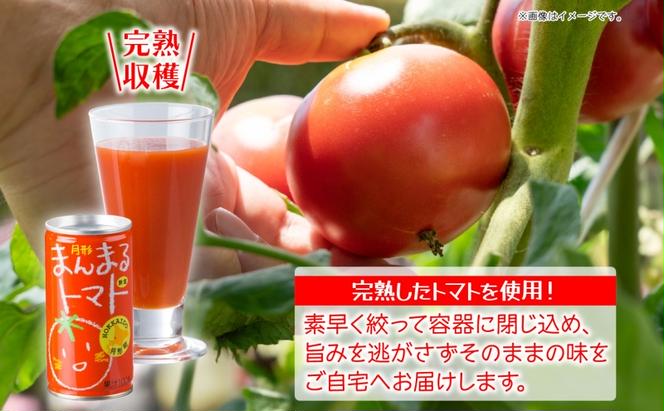 定期便 隔月6回 北海道 トマトジュース 月形まんまるトマト 190g×30本 桃太郎 トマト 食塩不使用 食塩無添加 とまと 缶 無塩 ジュース ストレート 野菜ジュース 健康 完熟 ご褒美 プレゼント 送料無料 月形町 
