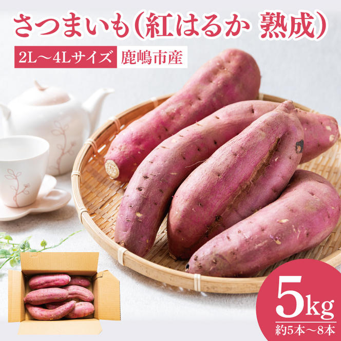 【先行予約】【訳あり】完熟高糖度 さつまいも（紅はるか）約5kg（サイズ：2L～4L）【熟成 サツマイモ 焼き芋 キュアリング 茨城県 鹿嶋市産】【2025年6月～順次発送】（KDV-001）