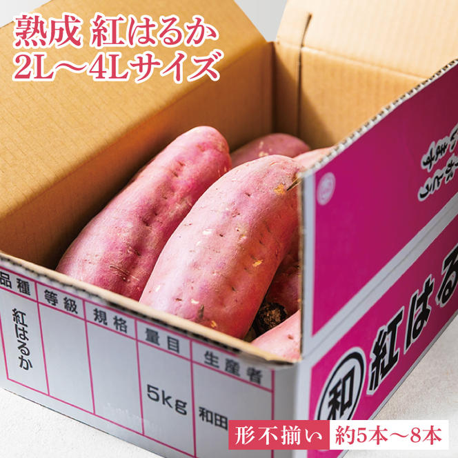 【先行予約】【訳あり】完熟高糖度 さつまいも（紅はるか）約5kg（サイズ：2L～4L）【熟成 サツマイモ 焼き芋 キュアリング 茨城県 鹿嶋市産】【2025年6月～順次発送】（KDV-001）