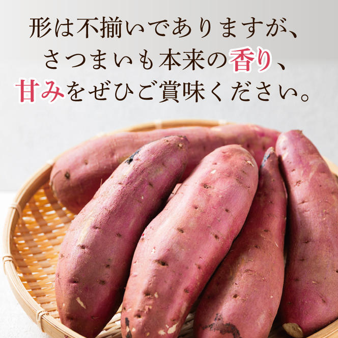 【先行予約】【訳あり】完熟高糖度 さつまいも（紅はるか）約5kg（サイズ：2L～4L）【熟成 サツマイモ 焼き芋 キュアリング 茨城県 鹿嶋市産】【2025年6月～順次発送】（KDV-001）