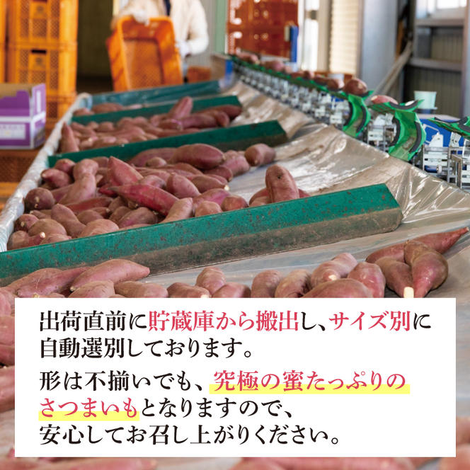 【先行予約】【訳あり】完熟高糖度 さつまいも（紅はるか）約5kg（サイズ：2L～4L）【熟成 サツマイモ 焼き芋 キュアリング 茨城県 鹿嶋市産】【2025年6月～順次発送】（KDV-001）