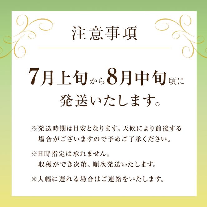【先行予約】マスクメロン アールスメロン アールスムーラン 1個 糖度14度以上 メロン 大玉 めろん フルーツ 秀品 兵庫県 加西市産 ギフト プレゼント 人気
