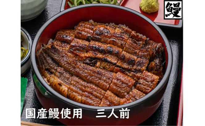 おうちでひつまぶし　3人前／炭火焼きうなぎ　鰻 ウナギ 国産 ひつまぶし