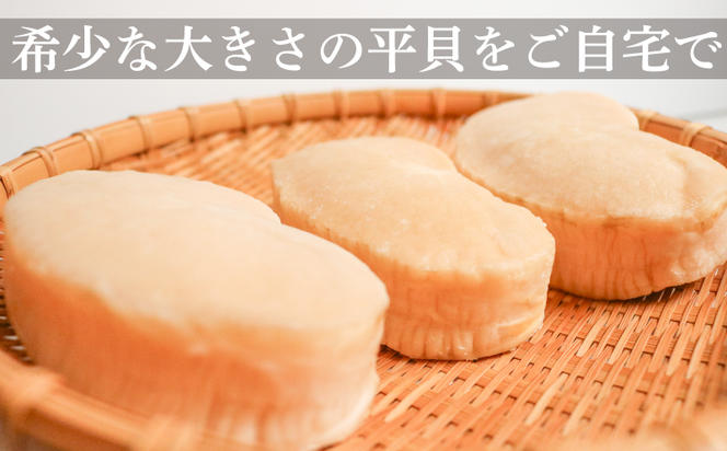 平貝 (タイラギ)130g以上×3個 冷凍 貝 魚貝類 魚貝 タイラガイ