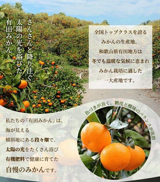 〈10月より発送〉ゆら早生 プレミアム有田みかん 1kg+250g（傷み補償分） ｜ 柑橘 果物 フルーツ 糖度 甘い 濃厚 コク ジューシー 光センサー ※北海道・沖縄・離島への配送不可 ※2025年10月上旬～11月中旬頃に順次発送予定