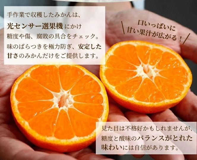 〈10月より発送〉ゆら早生 プレミアム有田みかん 1kg+250g（傷み補償分） ｜ 柑橘 果物 フルーツ 糖度 甘い 濃厚 コク ジューシー 光センサー ※北海道・沖縄・離島への配送不可 ※2025年10月上旬～11月中旬頃に順次発送予定