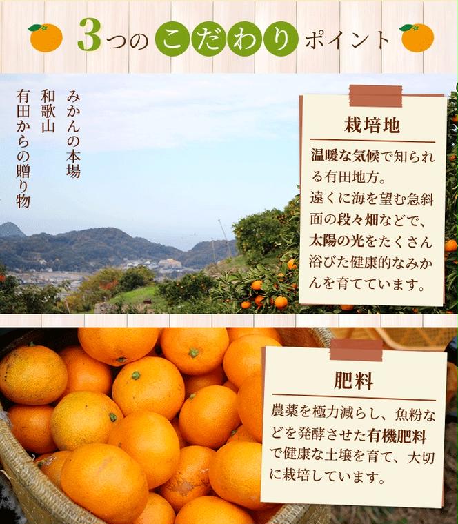 〈10月より発送〉ゆら早生 プレミアム有田みかん 1kg+250g（傷み補償分） ｜ 柑橘 果物 フルーツ 糖度 甘い 濃厚 コク ジューシー 光センサー ※北海道・沖縄・離島への配送不可 ※2025年10月上旬～11月中旬頃に順次発送予定