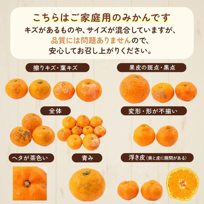 〈10月より発送〉ゆら早生 プレミアム有田みかん 1kg+250g（傷み補償分） ｜ 柑橘 果物 フルーツ 糖度 甘い 濃厚 コク ジューシー 光センサー ※北海道・沖縄・離島への配送不可 ※2025年10月上旬～11月中旬頃に順次発送予定