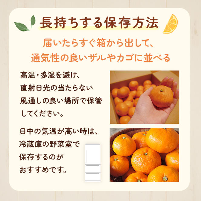 〈10月より発送〉ゆら早生 プレミアム有田みかん 1kg+250g（傷み補償分） ｜ 柑橘 果物 フルーツ 糖度 甘い 濃厚 コク ジューシー 光センサー ※北海道・沖縄・離島への配送不可 ※2025年10月上旬～11月中旬頃に順次発送予定