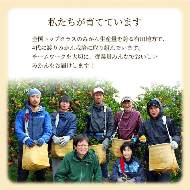 〈10月より発送〉ゆら早生 プレミアム有田みかん 2.5kg+250g（傷み補償分） ｜ 柑橘 果物 フルーツ 糖度 甘い 濃厚 コク ジューシー 光センサー ※北海道・沖縄・離島への配送不可 ※2025年10月上旬～11月中旬頃に順次発送予定