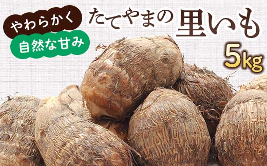 【2025年予約受付分】たてやまの里いも 5kg 里芋 さといも 芋 いも 野菜 根菜 立山町 F6T-727