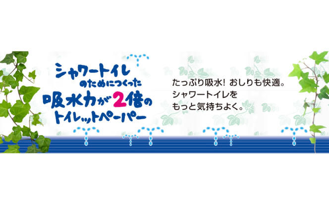 定期便 3ヵ月連続お届け エリエール 【少量3パック】 [アソートU]エリエール シャワートイレのためにつくった吸水力が2倍 トイレットペーパー ダブル 25m 12R 3パック 計36ロール 防災 常備品 備蓄品 消耗品