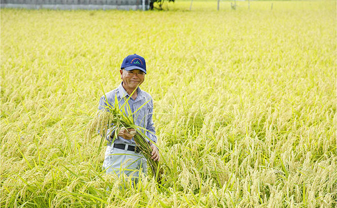 兵庫県加西市産 特A米相当コシヒカリ 5kg×12回【定期便】