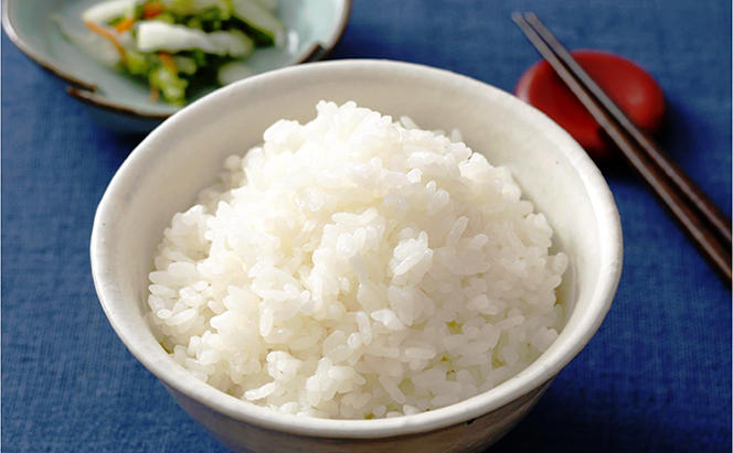 米 令和5年産 加西産 ヒノヒカリ 1等米 8kg（白米）