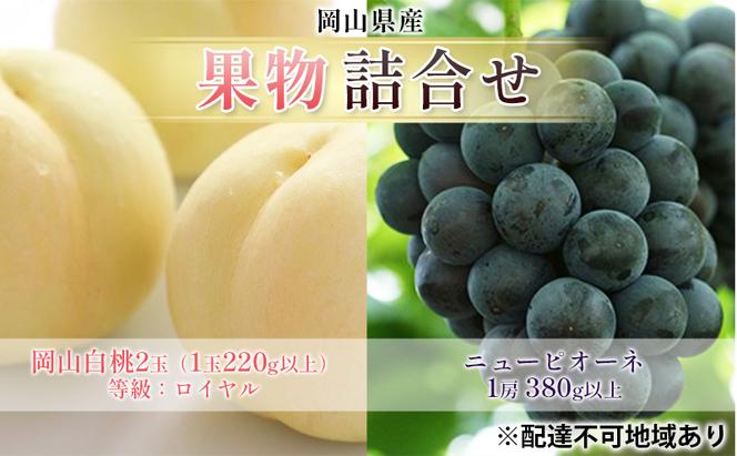 ぶどう 2025年 先行予約 果物 詰合せ 岡山 白桃 2玉 等級：ロイヤル（1玉220g以上） ニュー ピオーネ 1房 380g以上 もも 葡萄 岡山県産 国産 フルーツ 果物 ギフト
