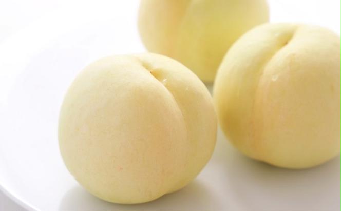 桃 2025年 先行予約 岡山 白桃 6玉 約1.4kg 等級：ロイヤル（1玉 240g以上） もも モモ 岡山県産 国産 フルーツ 果物 ギフト