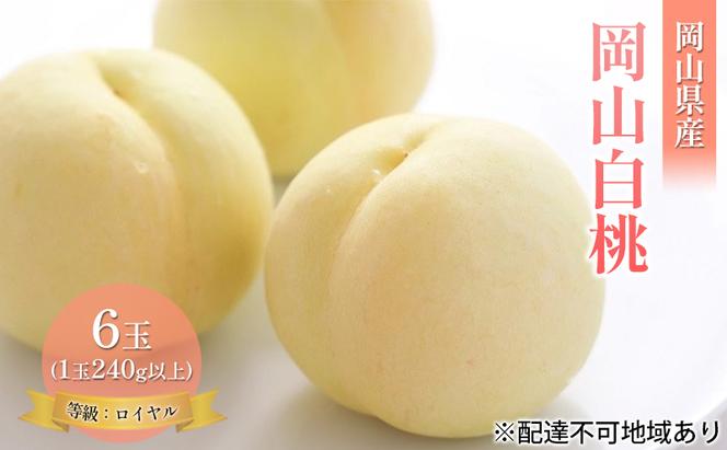 桃 2025年 先行予約 岡山 白桃 6玉 約1.4kg 等級：ロイヤル（1玉 240g以上） もも モモ 岡山県産 国産 フルーツ 果物 ギフト