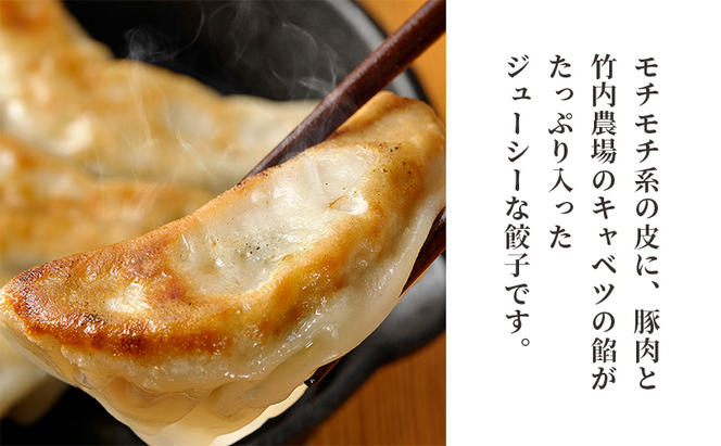 ボリューム満点 手作り冷凍餃子 30個（4～6人前）(15個×2袋)［錦華園］【 野菜 キャベツ たっぷり 厚い 手包み 手作り もちもち モチモチ 汁 町中華 中華 北海道 十勝 幕別 】