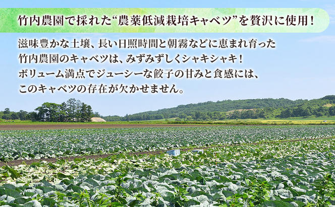 ボリューム満点 手作り冷凍餃子 30個（4～6人前）(15個×2袋)［錦華園］【 野菜 キャベツ たっぷり 厚い 手包み 手作り もちもち モチモチ 汁 町中華 中華 北海道 十勝 幕別 】