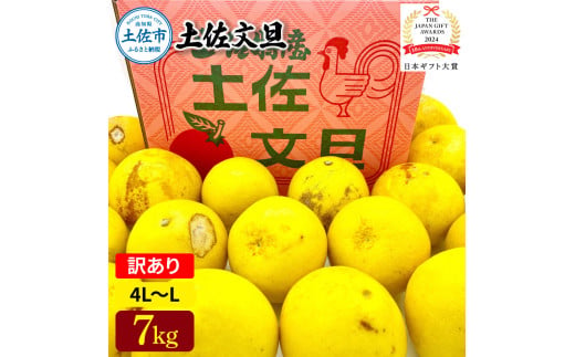 日本ギフト大賞受賞 園主こだわり土佐文旦 訳あり(4L～L）7kg 7キロ 文旦 土佐文旦 ワケアリ ぶんたん ぼんたん フルーツ 果物 柑橘 みかん 蜜柑 家庭用 自宅用 高知 土佐 国産 常温
