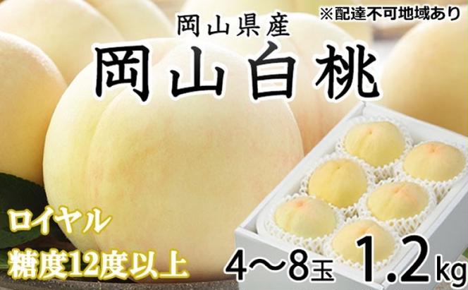 桃 2025年 先行予約 岡山 白桃 ロイヤル 4～8玉 約1.2kg JAおかやまのもも（早生種・中生種） もも モモ 岡山県産 国産 フルーツ 果物 ギフト